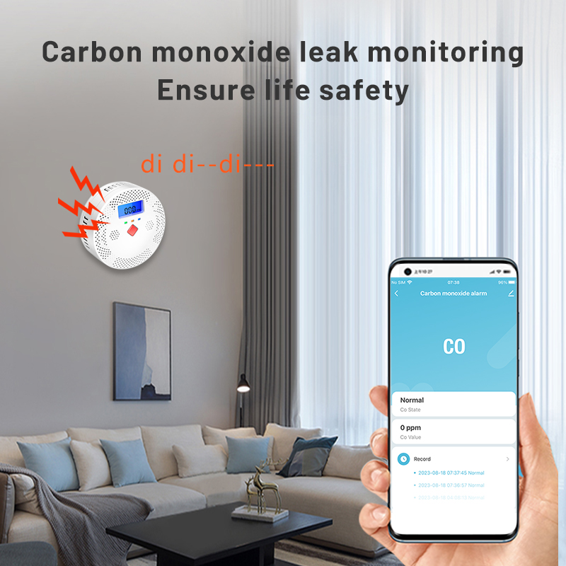 Tuya WiFi Smart Carbon Monoxid - огляд і ціна Co Detector Plug